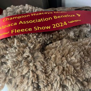 2024 Fleeceshow Champion Multi