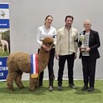 2026 03 GRAND Champion Kronenberg